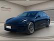 TESLA Tesla Model 3 – 491km AUTON. DOPPIO TETTO