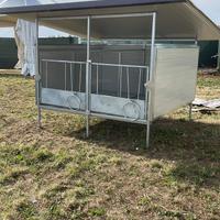 Box vitelli da svezzamento a norma classyfarm