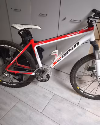 bicicletta muntain bike muscolare