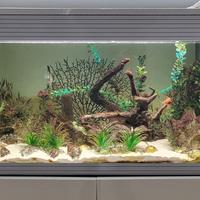 Acquario Askoll Pure XL led