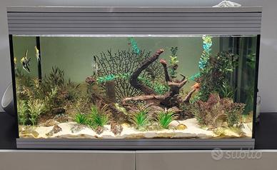 Acquario Askoll Pure XL led