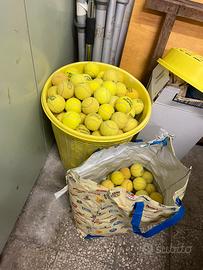 Palline da tennis