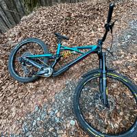 Specialized enduro 2017 holins