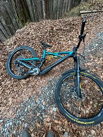 Specialized enduro 2017 holins