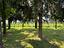 Immagine 25