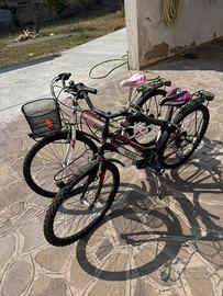 Bicicletta