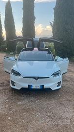 TESLA X 100D batteria nuova sostituita in garanzia