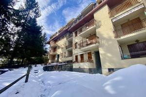 Appartamento Viola [S 564VRG]