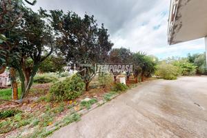 Intera palazzina bancali