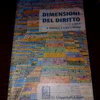 manuali di giurisprudenza 