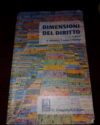 manuali di giurisprudenza 