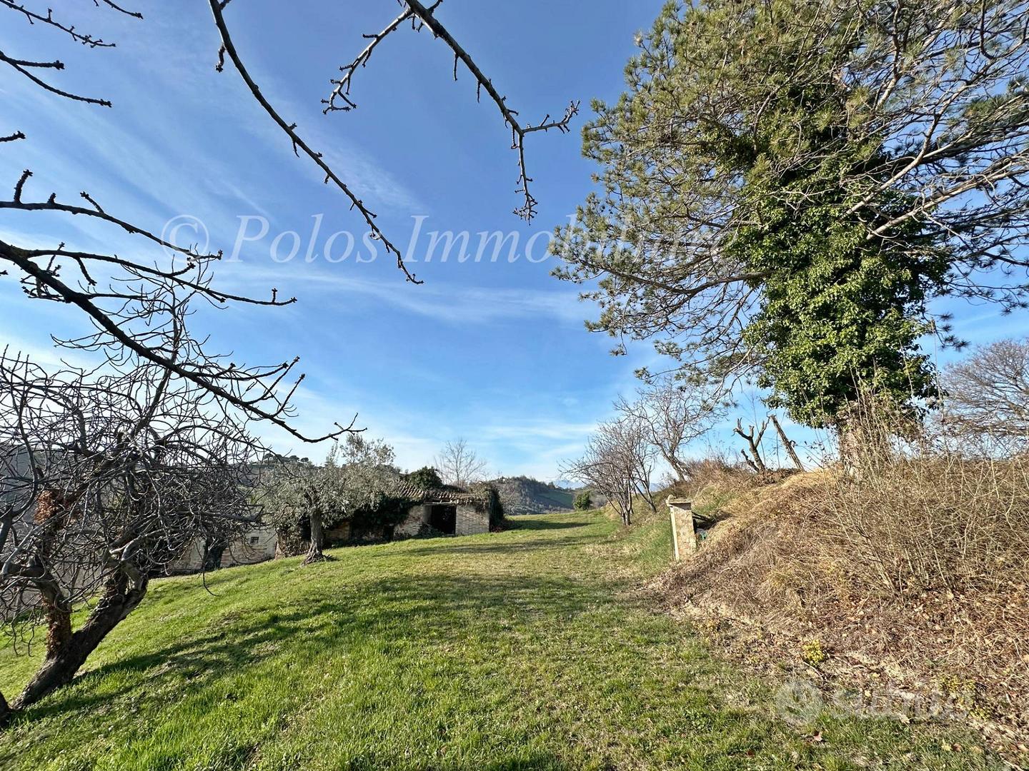 Casa colonica - Monte Giberto - Vista 4