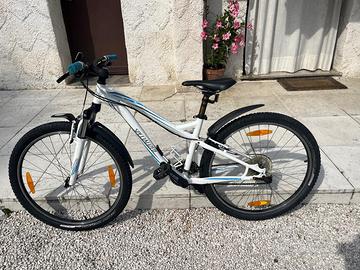 Bicicletta specialized