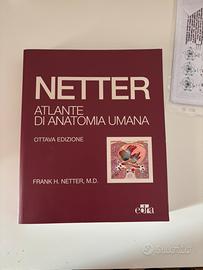 netter atlante di anatomia unana ottava edizione