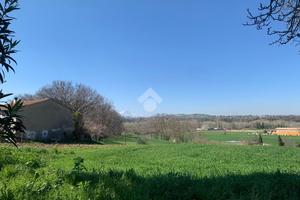 TERRENO A CAPPELLE SUL TAVO