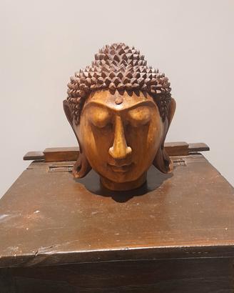 Testa di Buddha in Legno massello