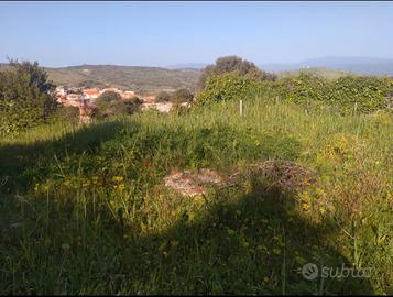 Terreno a Nastaru con alberi da frutta
