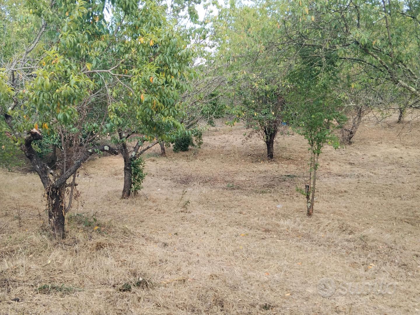 Terreno Agricolo - Vista 2