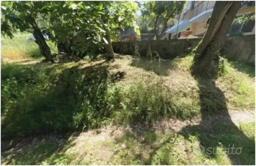 Immobile in asta di 2610 m² a Pietrabruna - Vista 5