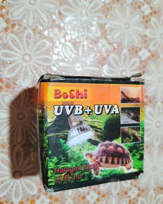 lampadina uva e uvb 