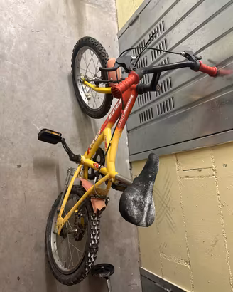 Bicicletta bambino