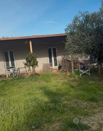 Casa con terreno