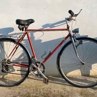 Bicicletta uomo