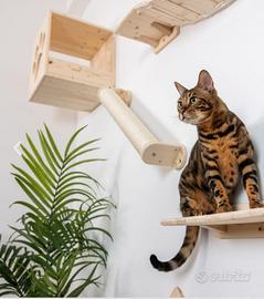 Mensole per percorso gatti