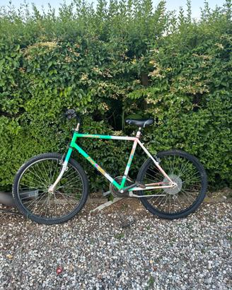 Mountain bike