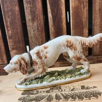 CAPODIMONTE VOLTA Cane da caccia setter d