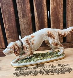 CAPODIMONTE VOLTA Cane da caccia setter d