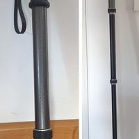 monopiede gitzo