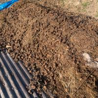 Grassa concime stallattico di cavallo