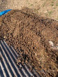 Grassa concime stallattico di cavallo