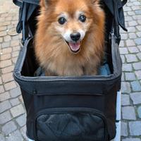 passeggino per cani 