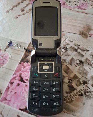 Cellulare Samsung