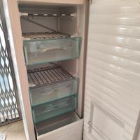 congelatore/freezer 