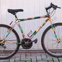 Mountain bike 18 marce 26 pollici