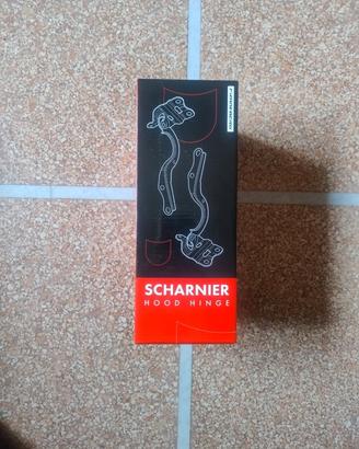 Cerniera cofano Frankberg Scharnier 