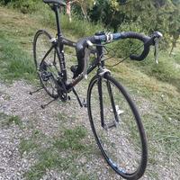  bicicletta colnago da corsa in carbonio
