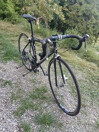  bicicletta colnago da corsa in carbonio
