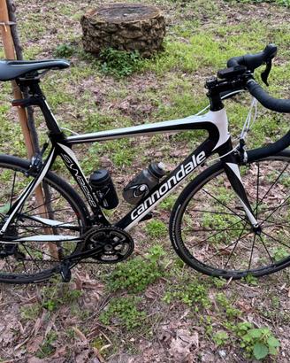 Cannondale Synapse carbonio th.54