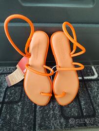 Sandalo havaianas una pitanga