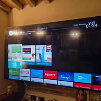 SonyBravia 4K 65"