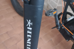 Bicicletta elettrica