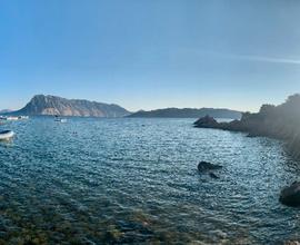 Sardegna-Vista Mare-Cala Paradiso-250mt_spiaggia