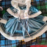 vestito di carnevale regina delle nevi