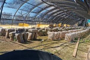 Vicino ZONA INDUSTRIALE.Serre per FOTOVOLTAICO