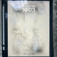 IPAD 2021 64gb