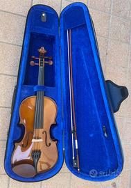 Strumenti musicali violino